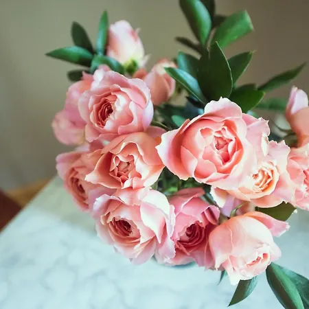 Frühstückspension Domaine Du Lion Rouge Piscine Et 4*