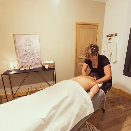 Domaine Du Lion Rouge Piscine Et Frühstückspension 4*