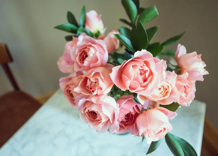 Bed & Breakfast Domaine Du Lion Rouge Piscine Et 4*